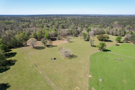 Turnkey High Fence for Sale in Amite County, MS - image 43