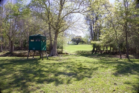 Turnkey High Fence for Sale in Amite County, MS - image 22