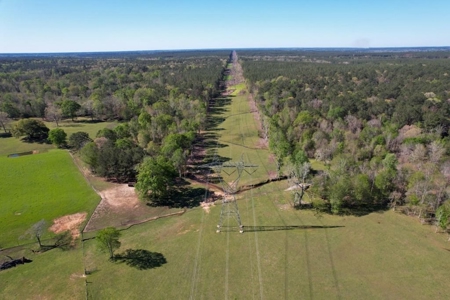 Turnkey High Fence for Sale in Amite County, MS - image 1