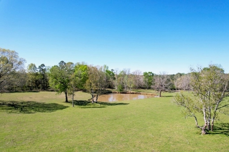 Turnkey High Fence for Sale in Amite County, MS - image 40