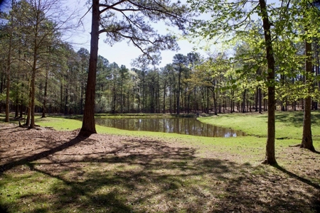 Turnkey High Fence for Sale in Amite County, MS - image 19