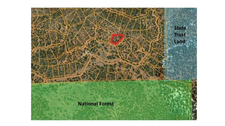 Power and No HOA Land in Forest Acres - image 7