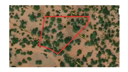 Power and No HOA Land in Forest Acres - image 6