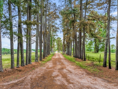 Charming Country Estate with Acreage in McNairy County, TN - image 35