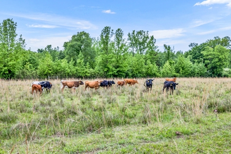 Charming Country Estate with Acreage in McNairy County, TN - image 32