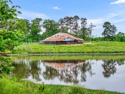 Charming Country Estate with Acreage in McNairy County, TN - image 43