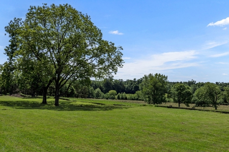 Charming Country Estate with Acreage in McNairy County, TN - image 26