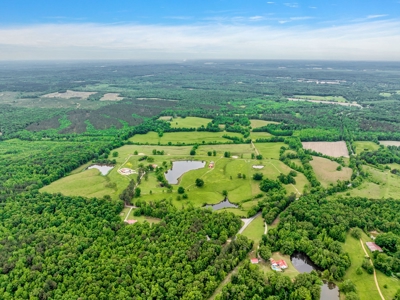 Charming Country Estate with Acreage in McNairy County, TN - image 46