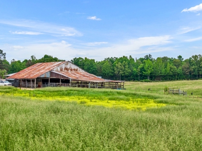 Charming Country Estate with Acreage in McNairy County, TN - image 44