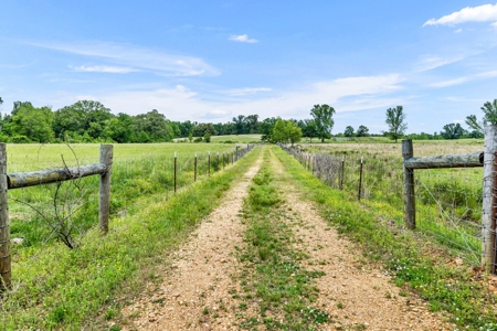 Charming Country Estate with Acreage in McNairy County, TN - image 31