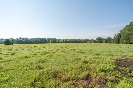 Country Home with 48.5 Acres in Karnack, TX - image 32