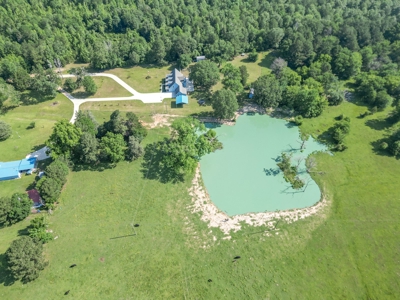 Country Home with 48.5 Acres in Karnack, TX - image 37