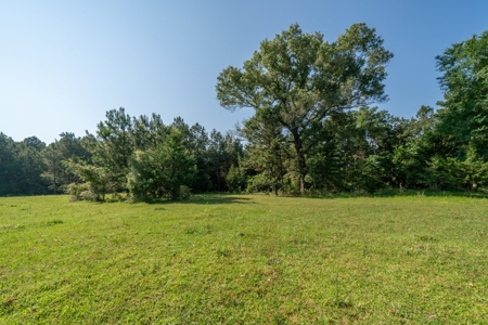 Country Home with 48.5 Acres in Karnack, TX - image 34