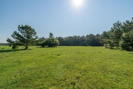 Country Home with 48.5 Acres in Karnack, TX - image 33