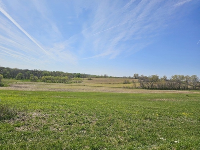 Land For Sale - image 1