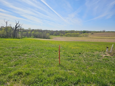 Land For Sale - image 7