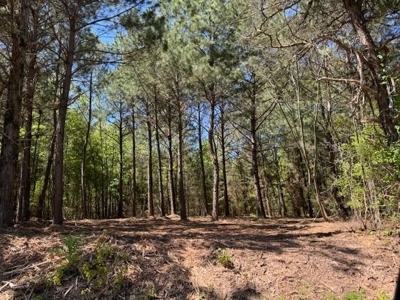 Chapel Hill Acreage For Sale - image 2