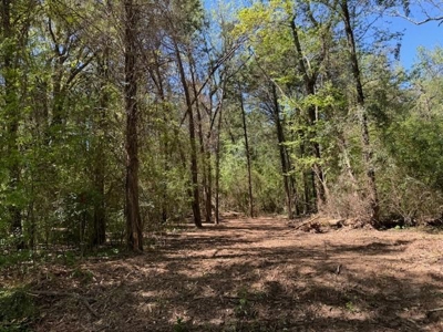 Chapel Hill Acreage For Sale - image 1