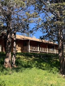 Log Home on 9.2 Acres! - image 3