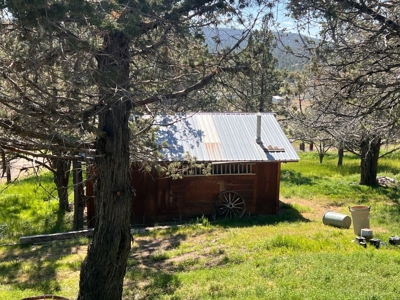 Log Home on 9.2 Acres! - image 28