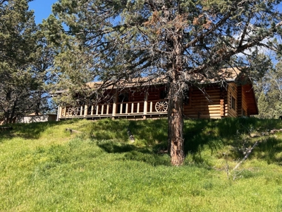 Log Home on 9.2 Acres! - image 1