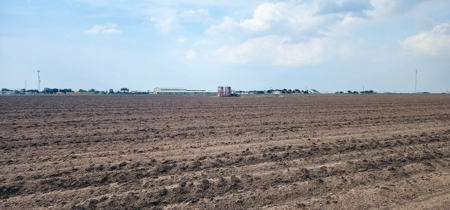 20 Acres of Irrigated Farm land for sale in Wall, Texas - image 7