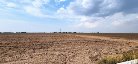 20 Acres of Irrigated Farm land for sale in Wall, Texas - image 4