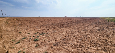 20 Acres of Irrigated Farm land for sale in Wall, Texas - image 2