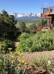 Ridgway Colorado Mountains Sneffels View Gardens Telluride - image 32