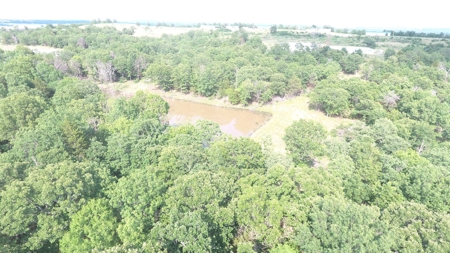 Land for sale-  Oklahoma Pittsburg County - image 4