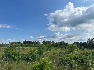 Land for sale-  Oklahoma Pittsburg County - image 8