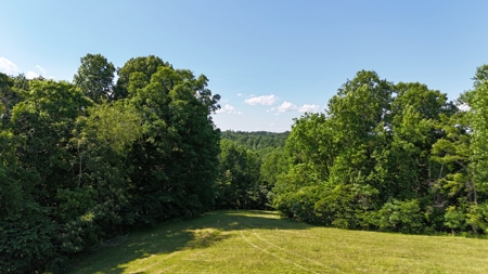 3 acre lot for sale on Lake Cumberland in Hickory Point - image 3