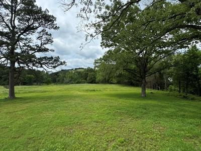 Home And Acreage For Sale In Arkansas - image 19