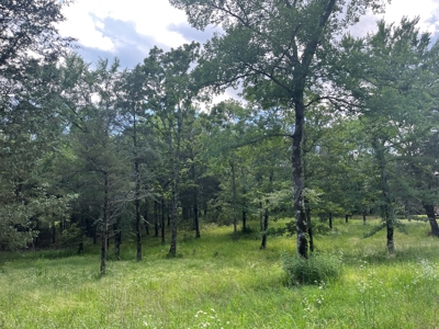 Country Home with land, in Southeastern Oklahoma - image 37