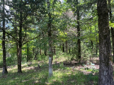 Country Home with land, in Southeastern Oklahoma - image 26