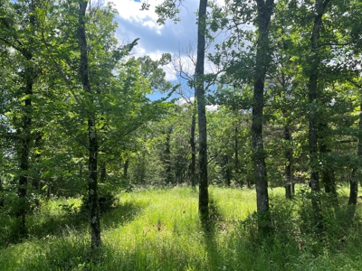 Country Home with land, in Southeastern Oklahoma - image 35