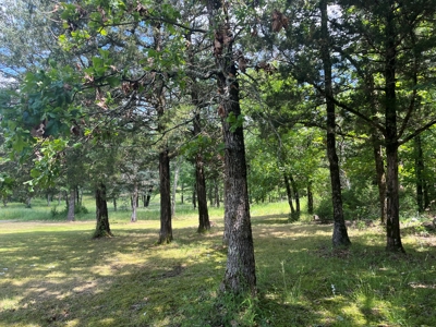 Country Home with land, in Southeastern Oklahoma - image 27
