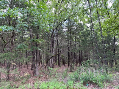 Country Home with land, in Southeastern Oklahoma - image 5