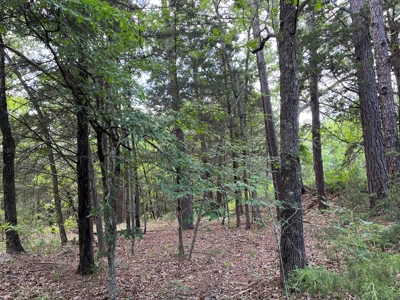 Country Home with land, in Southeastern Oklahoma - image 6