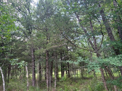 Country Home with land, in Southeastern Oklahoma - image 19