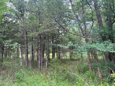 Country Home with land, in Southeastern Oklahoma - image 18