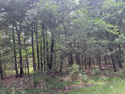 Country Home with land, in Southeastern Oklahoma - image 9