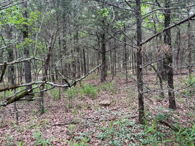 Country Home with land, in Southeastern Oklahoma - image 10