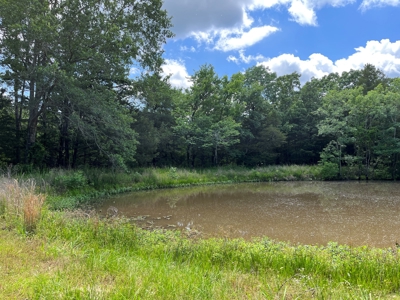 Country Home with land, in Southeastern Oklahoma - image 2