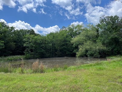 Country Home with land, in Southeastern Oklahoma - image 1