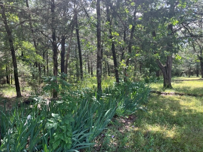 Country Home with land, in Southeastern Oklahoma - image 25