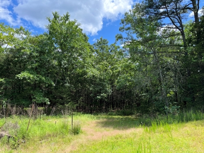 Country Home with land, in Southeastern Oklahoma - image 3