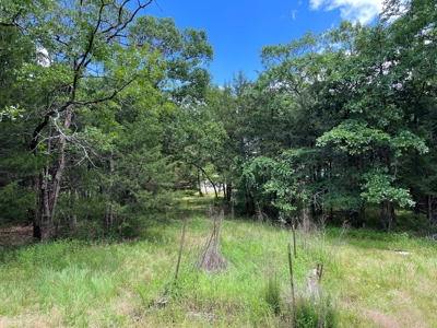 Country Home with land, in Southeastern Oklahoma - image 4