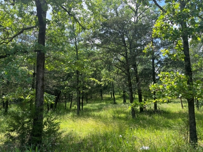 Country Home with land, in Southeastern Oklahoma - image 36