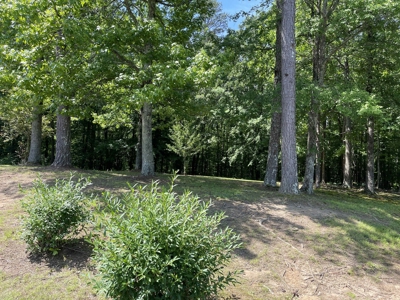 Country Home For Sale In Mcnairy Tn With 3 Acres - image 43